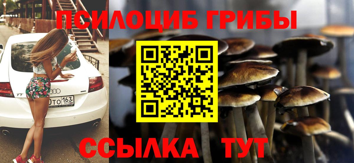 Псилоцибиновые грибы MAGIC MUSHROOMS Борзя